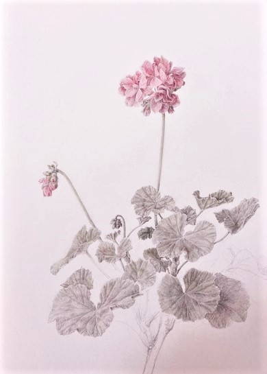 コース画像100865