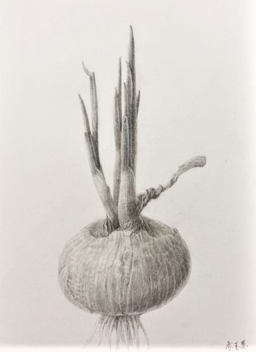 コース画像100866