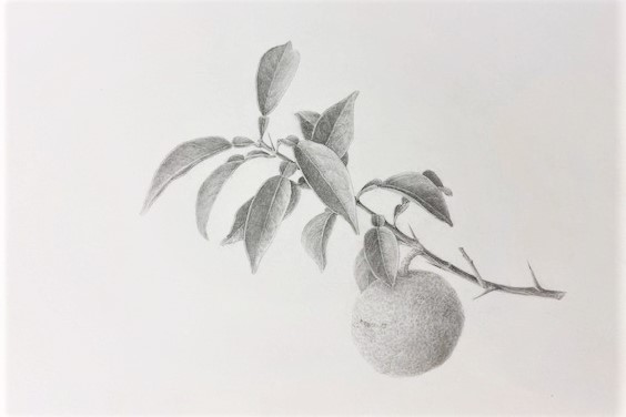 コース画像100876