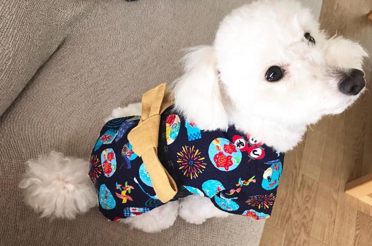 コース画像100924