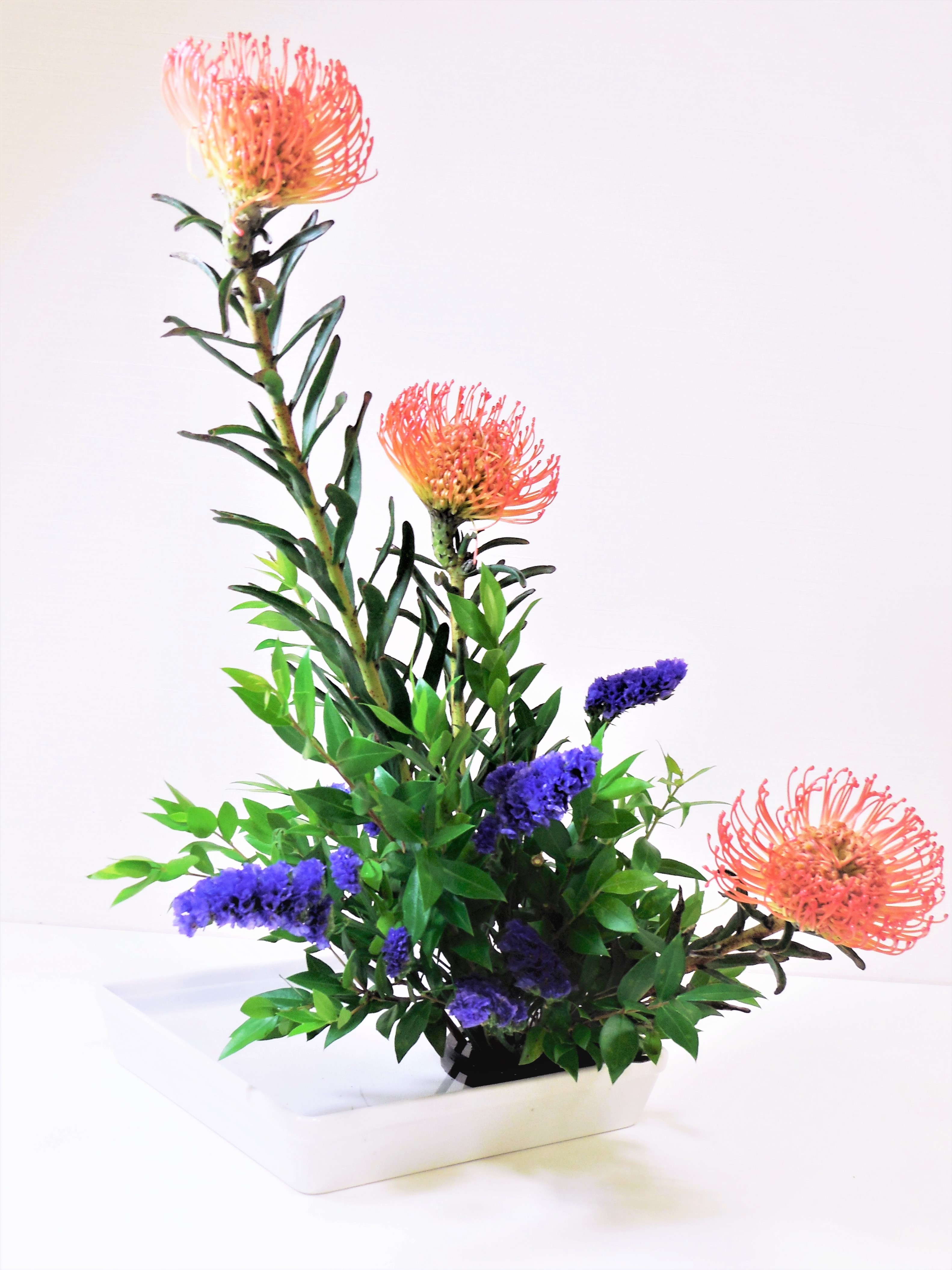 コース画像101531