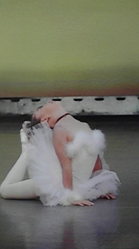 コース画像102045