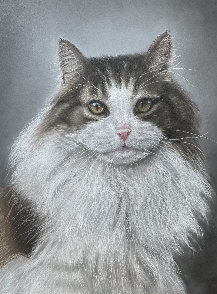 コース画像109791