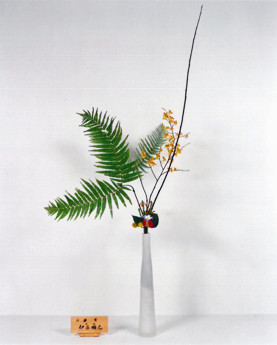 コース画像101248