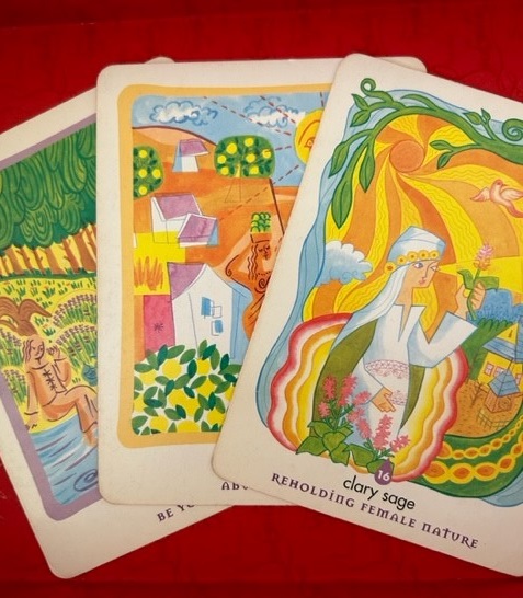 コース画像105956