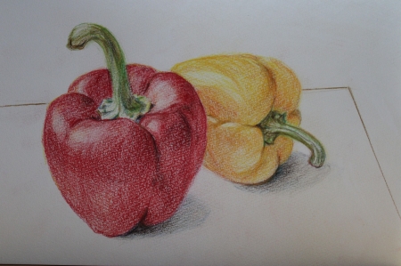 コース画像107471