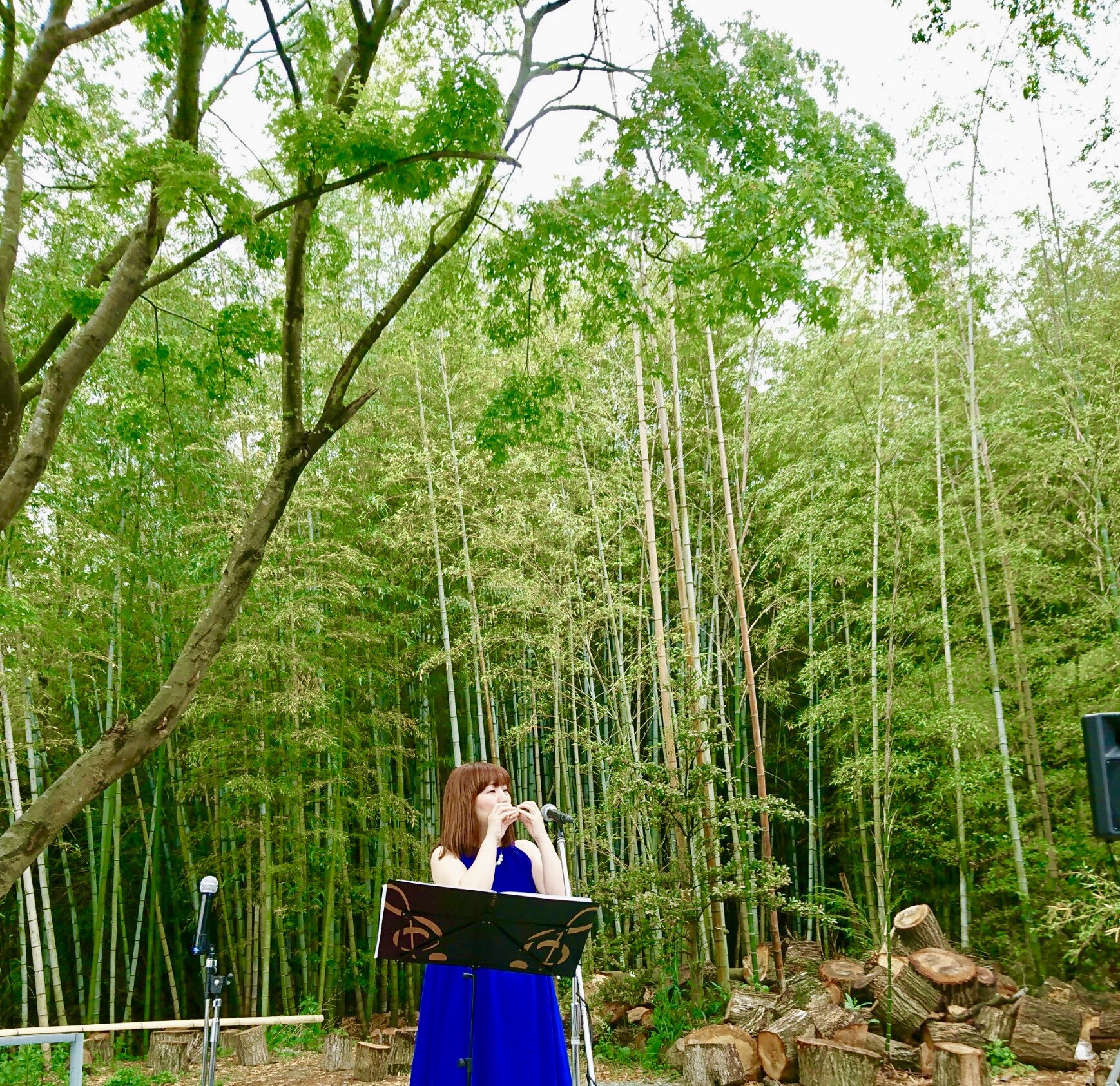 コース画像105212