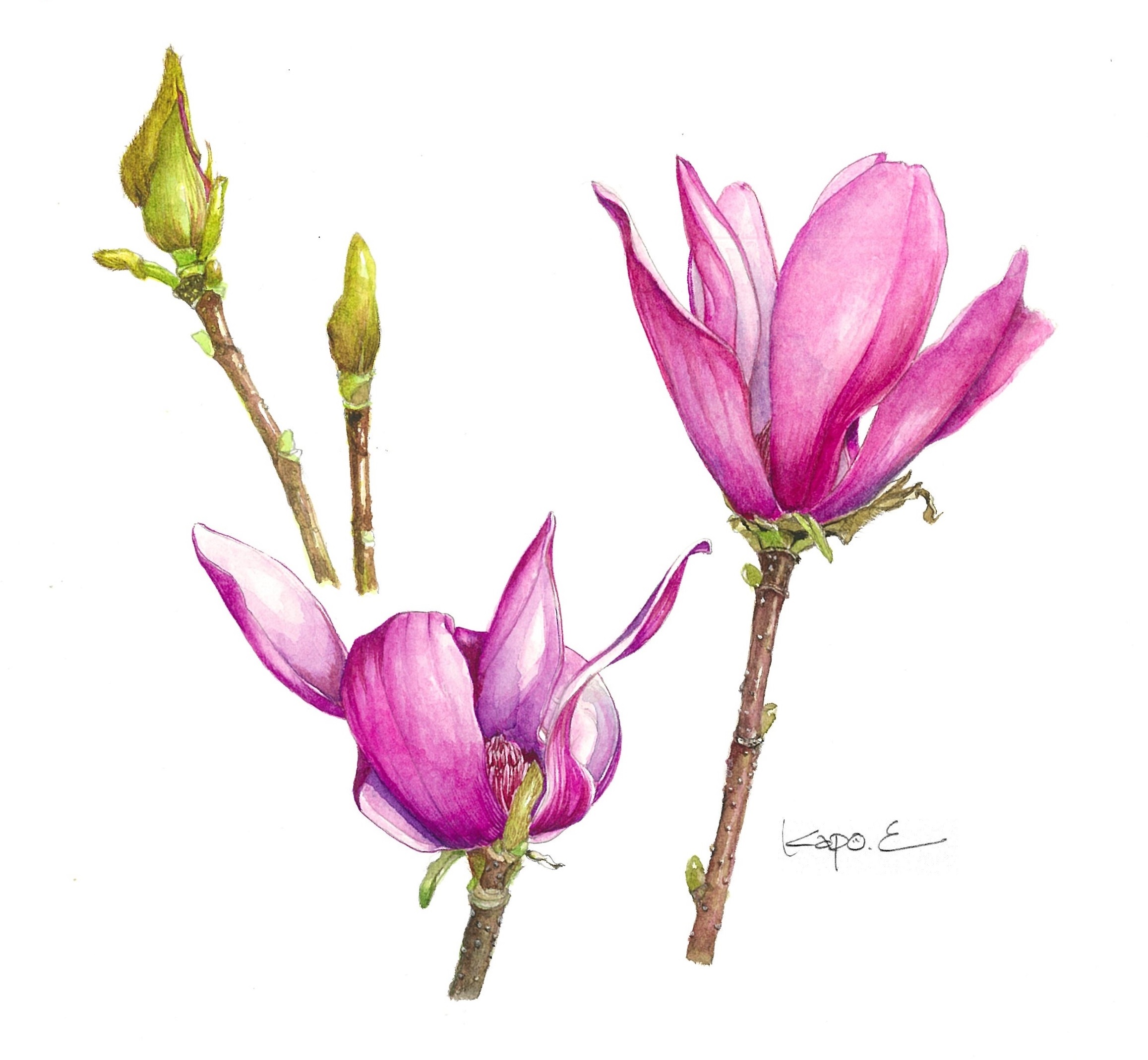 コース画像106017