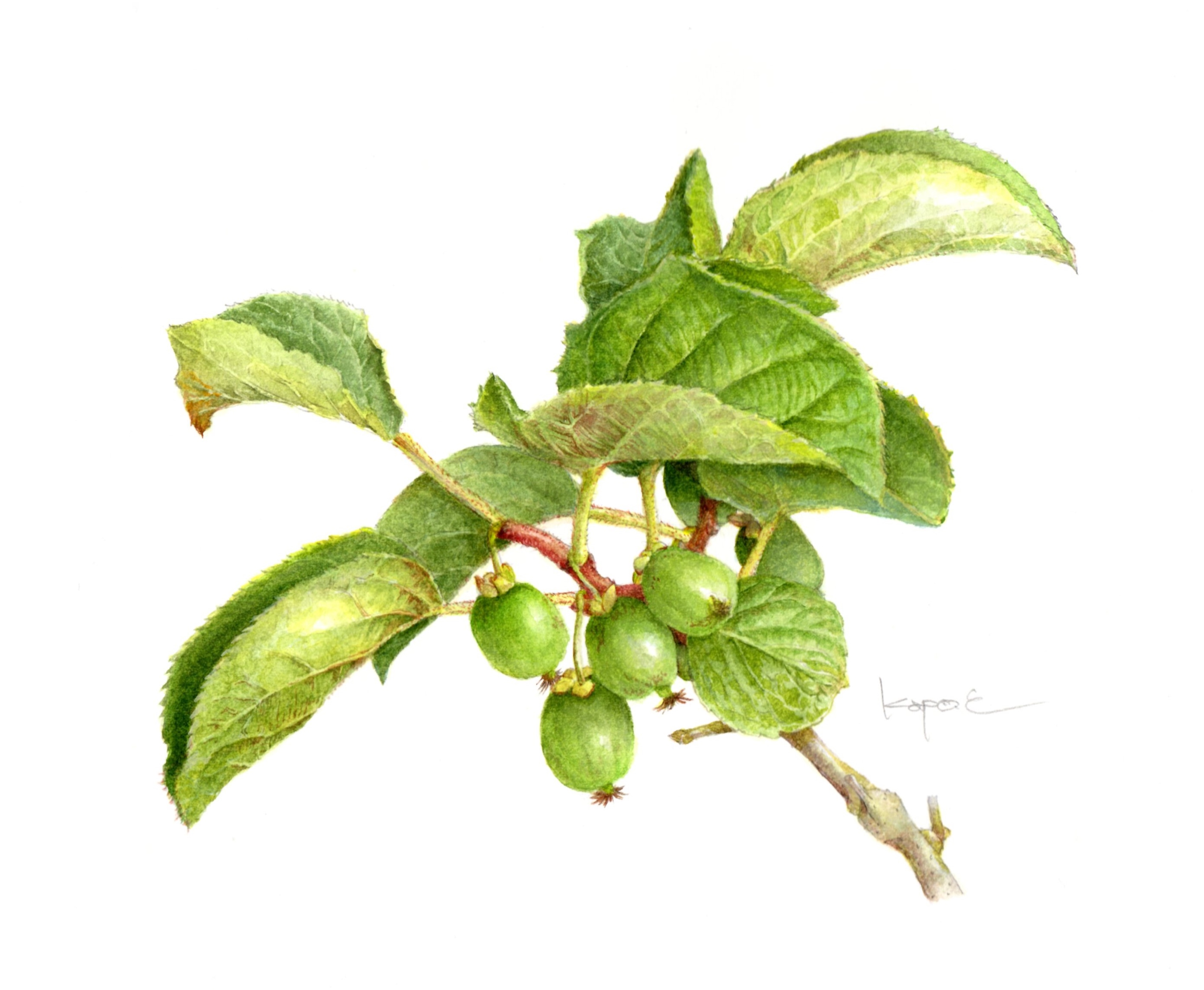 コース画像106018