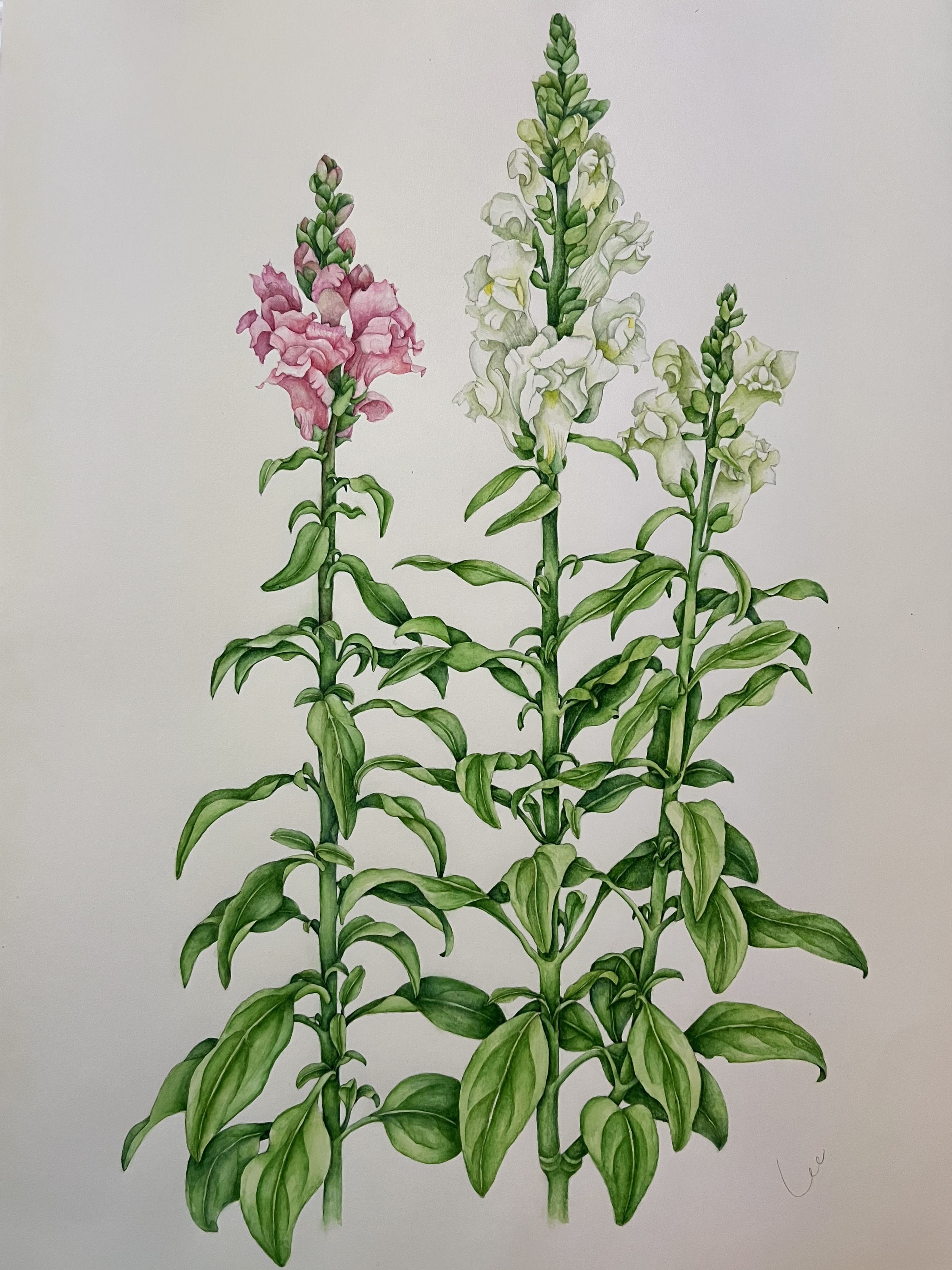 コース画像107047