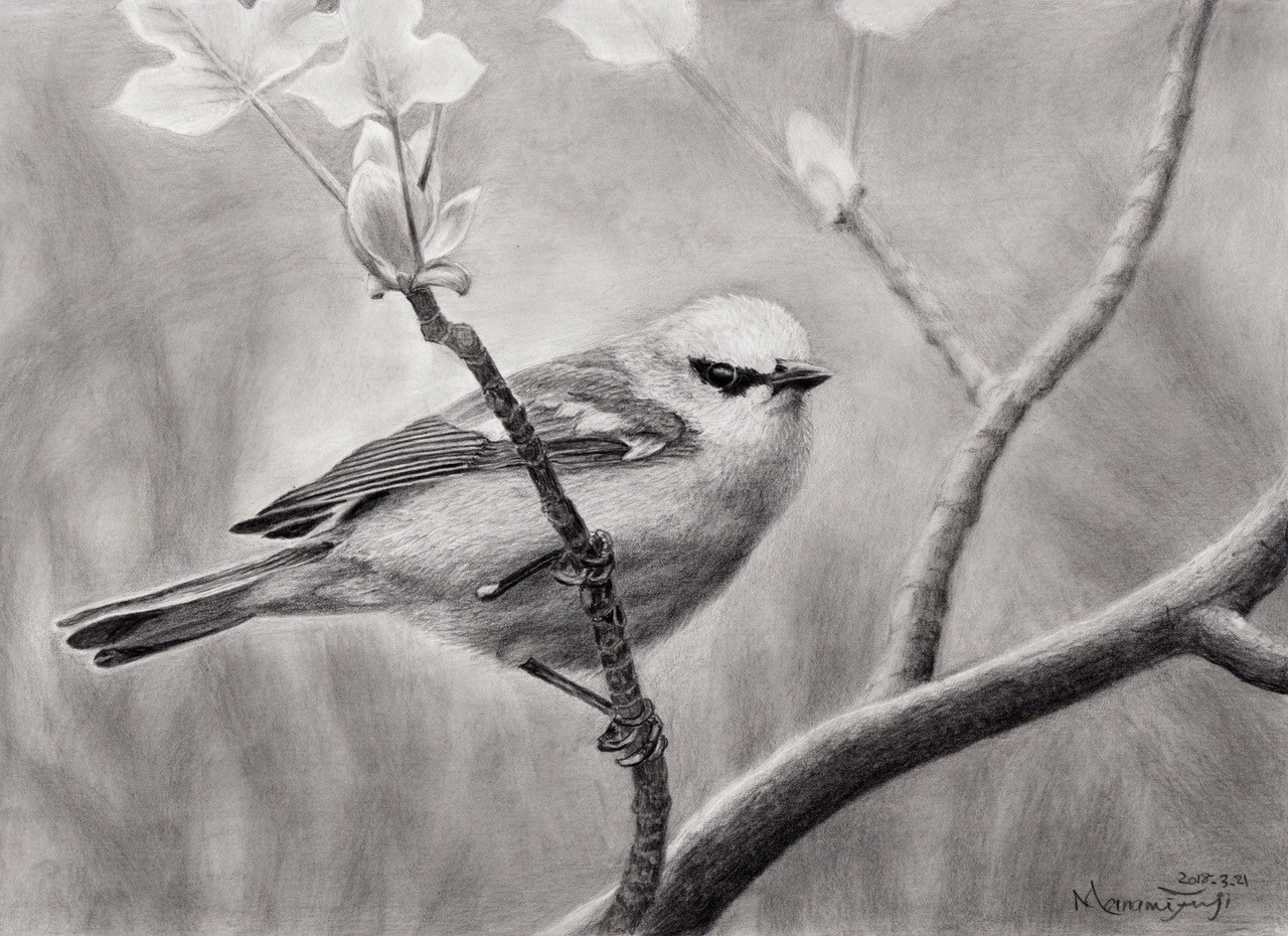 コース画像107316