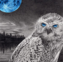 コース画像107317