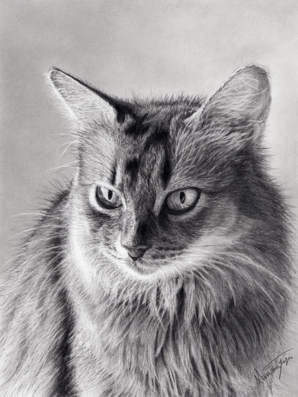 コース画像107319