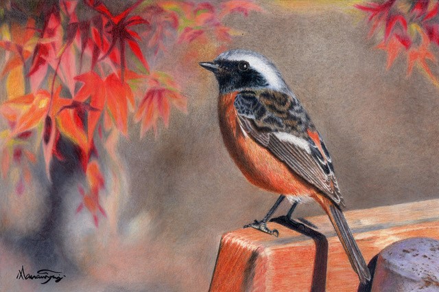 コース画像107321