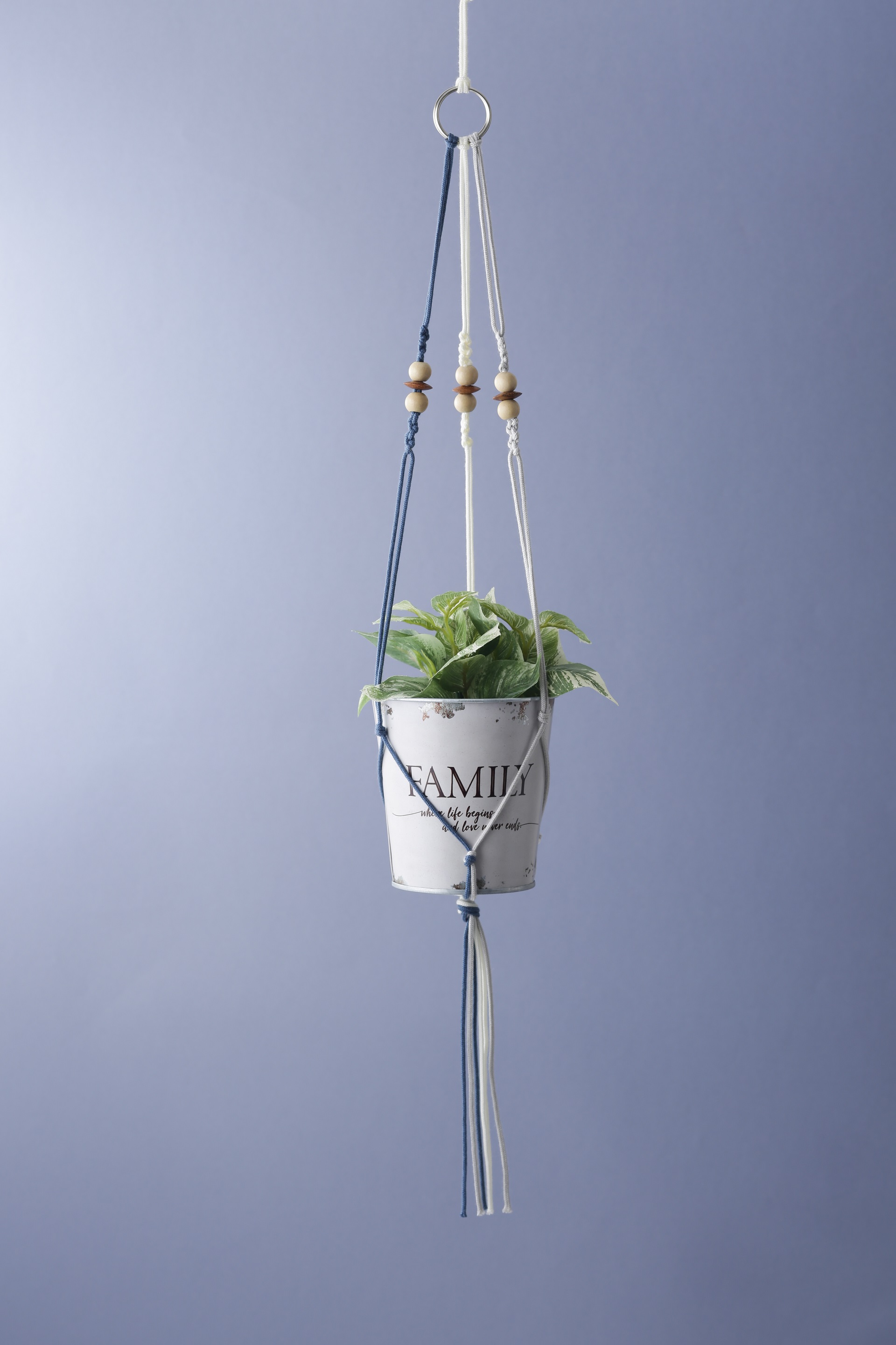 コース画像107575