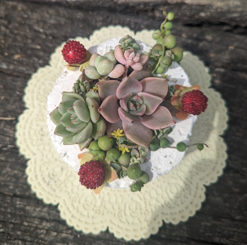 コース画像109291