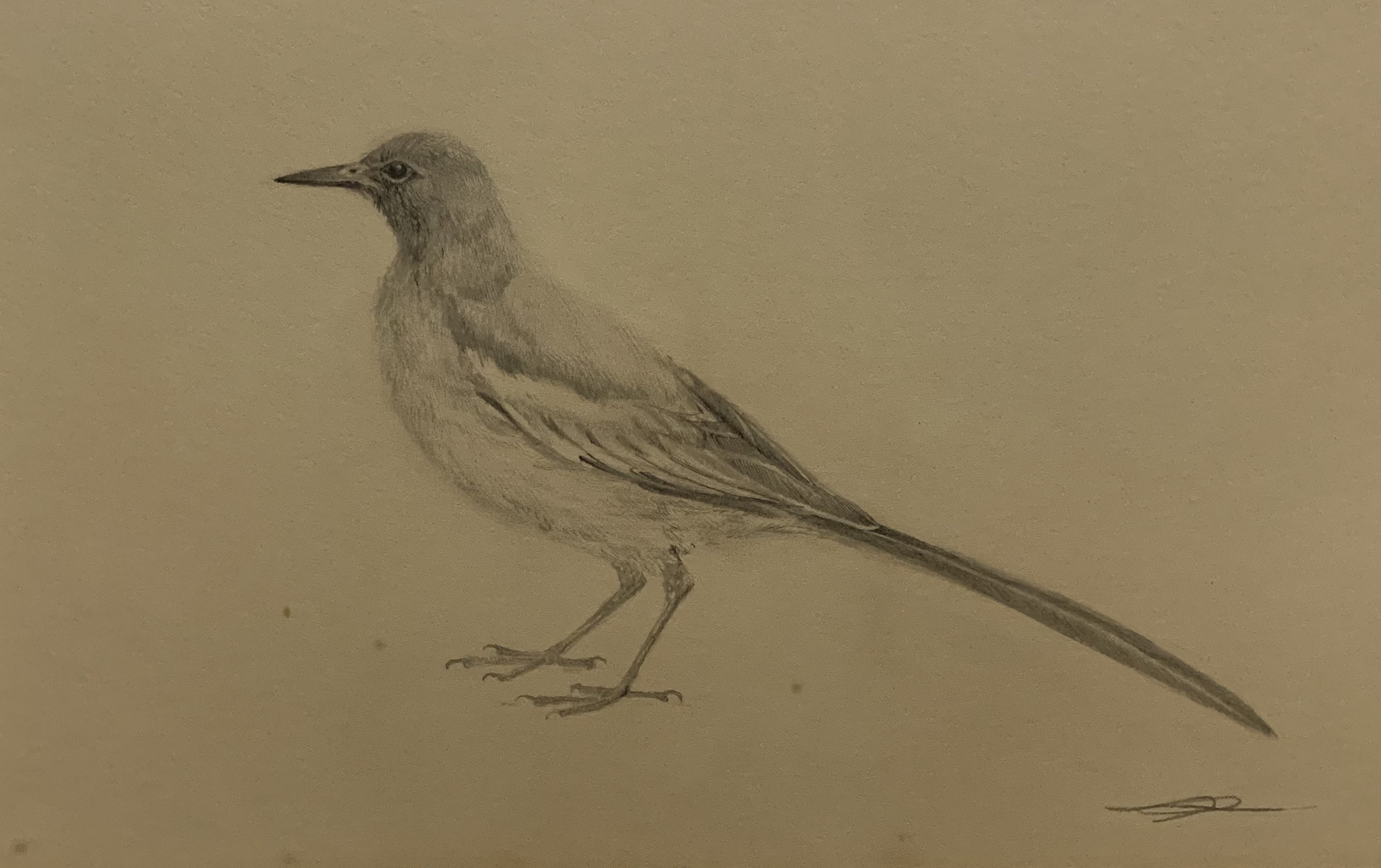 コース画像109711