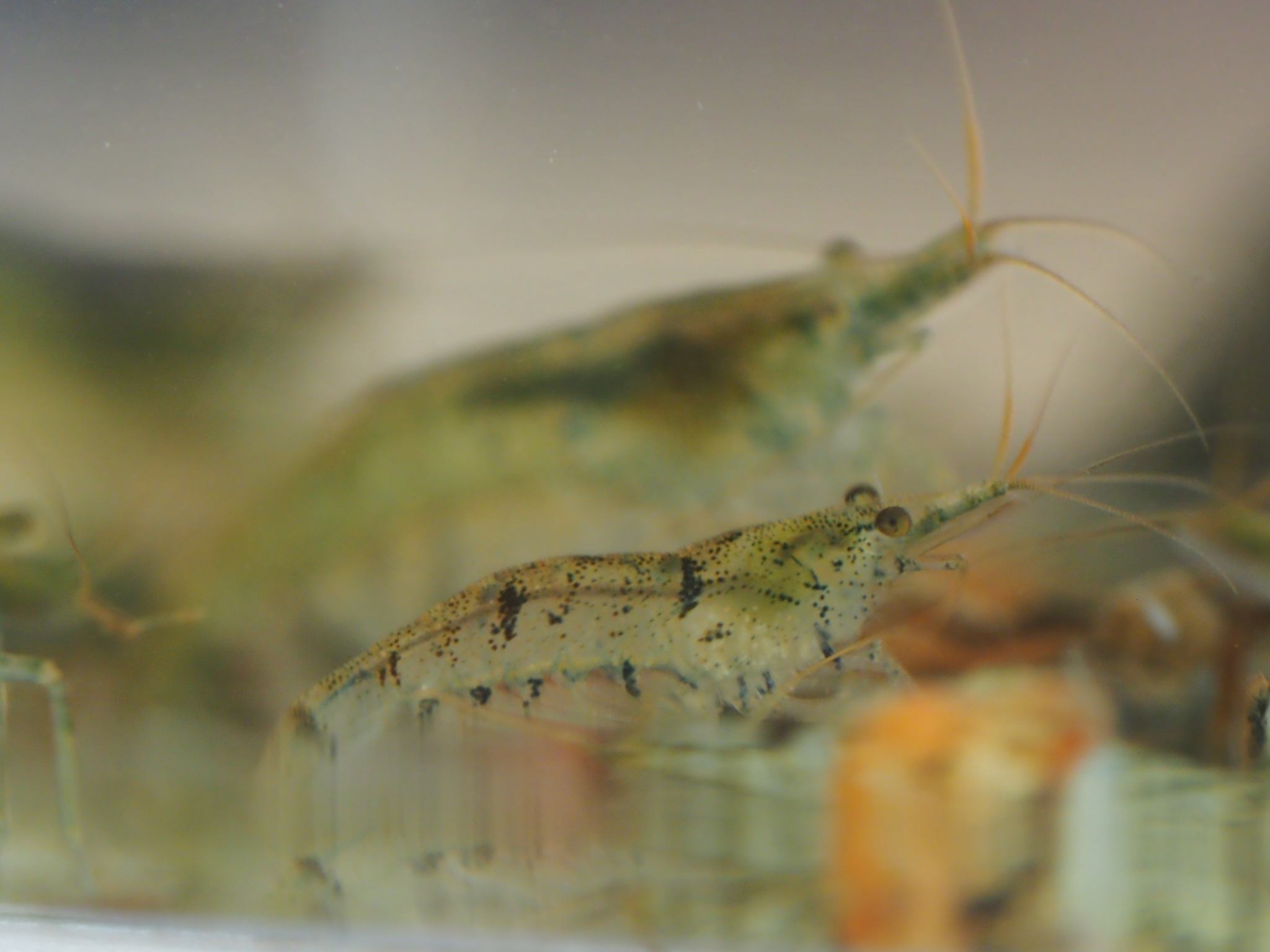 コース画像110883