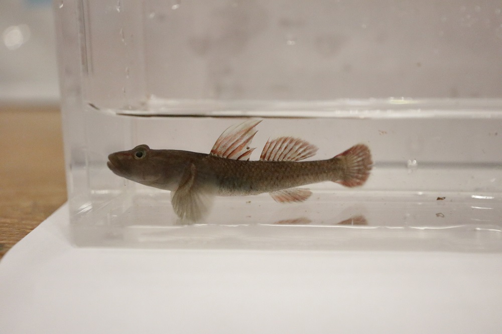 コース画像110884