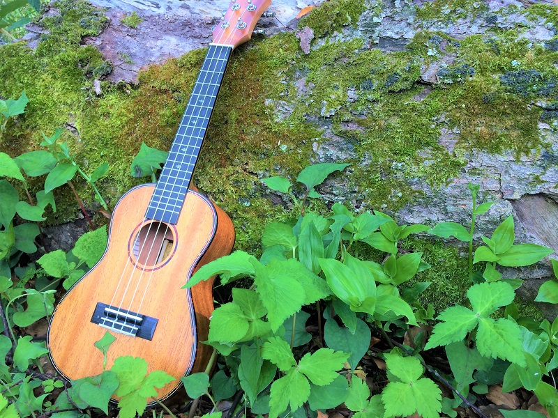 コース画像111064