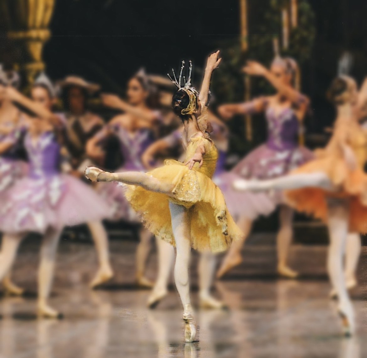 コース画像111117