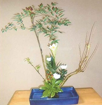 コース画像100012