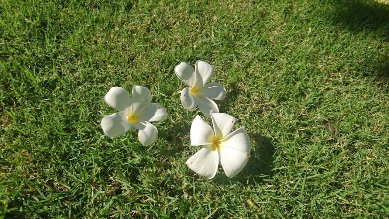 コース画像100101