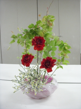 コース画像100427