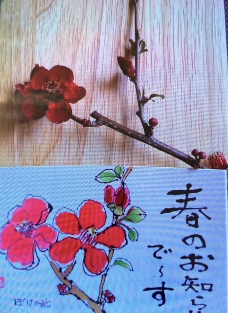 コース画像108499