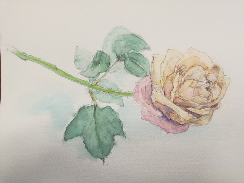 コース画像100455