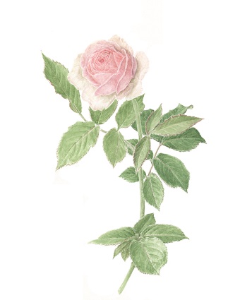 コース画像100839