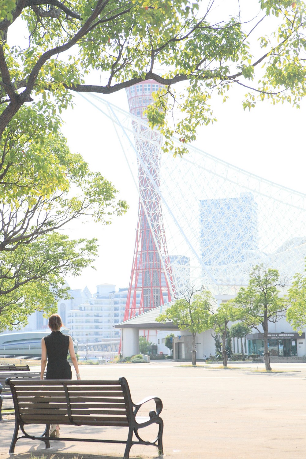 コース画像100845