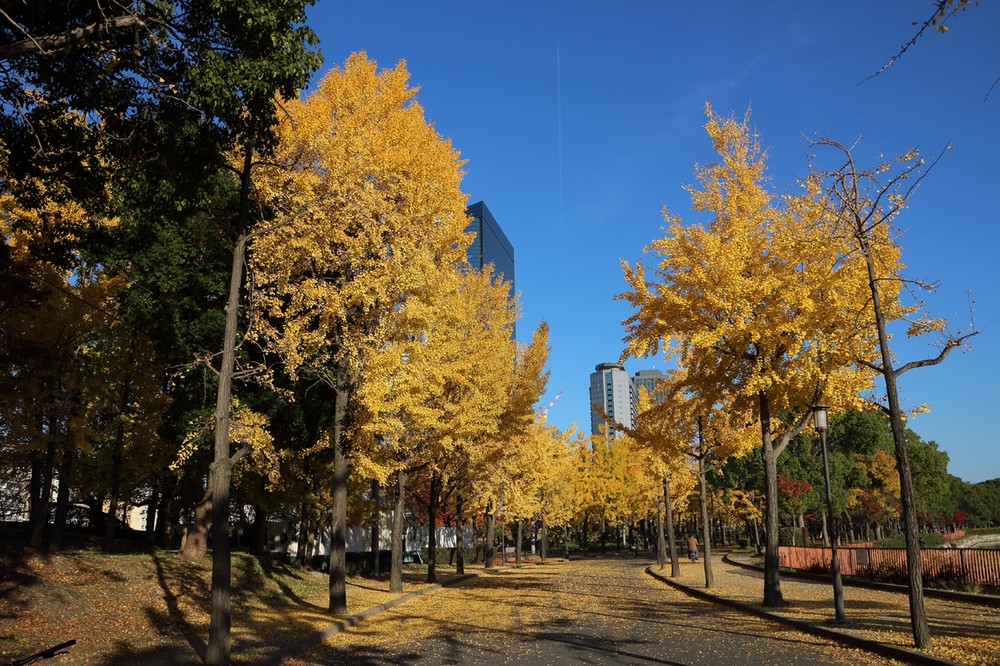 コース画像100846