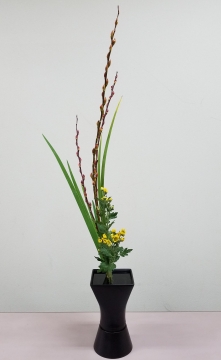 コース画像103681