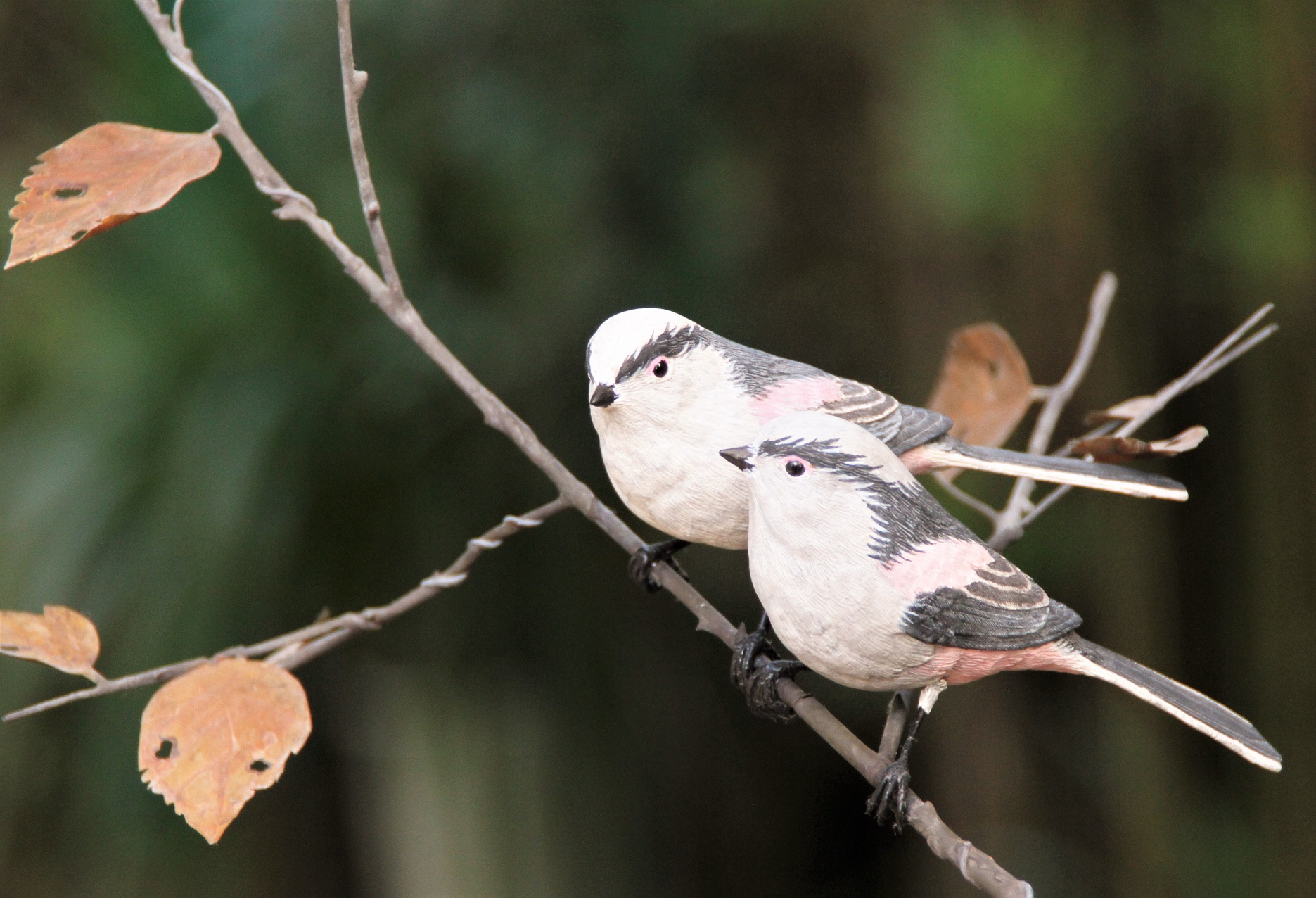 コース画像100210