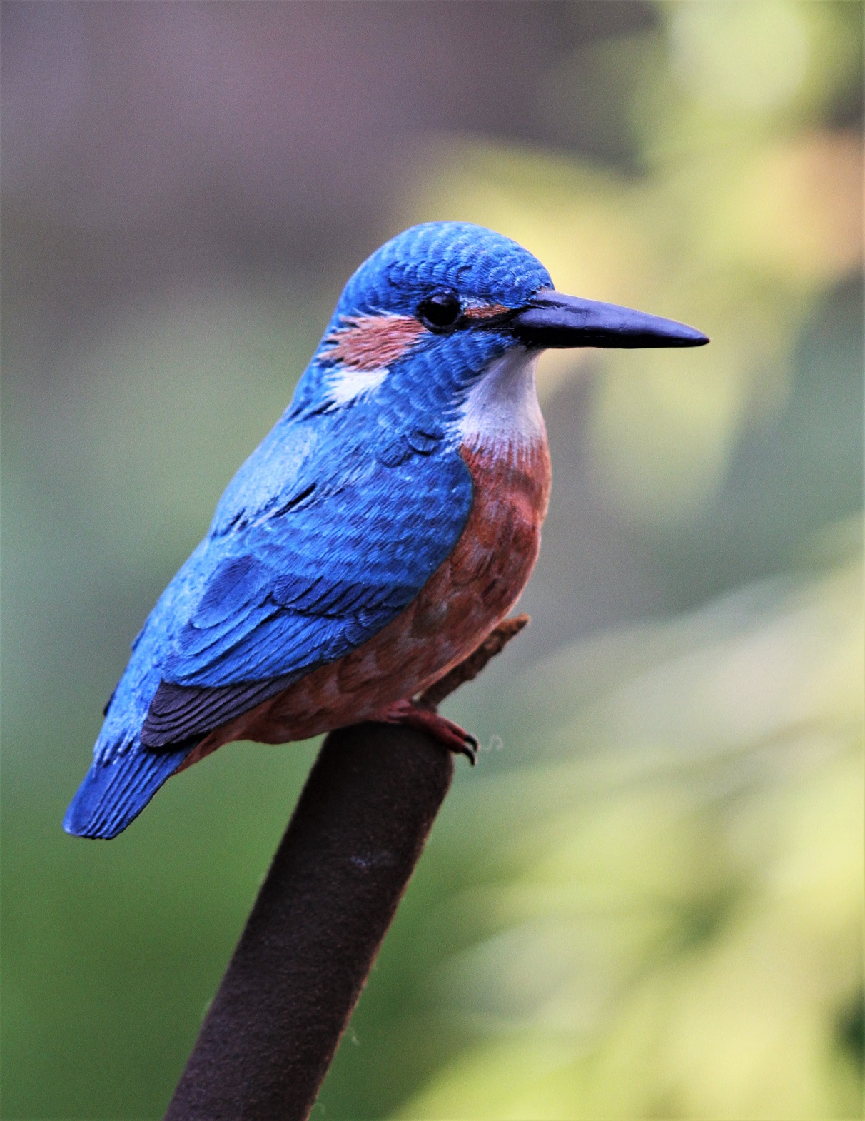 コース画像100211