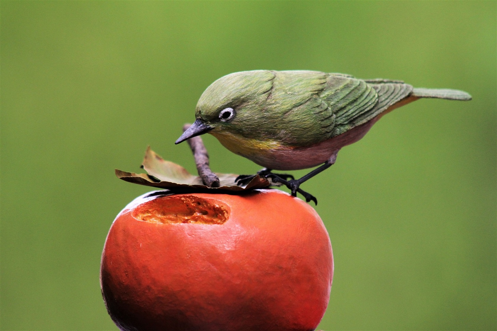 コース画像100212