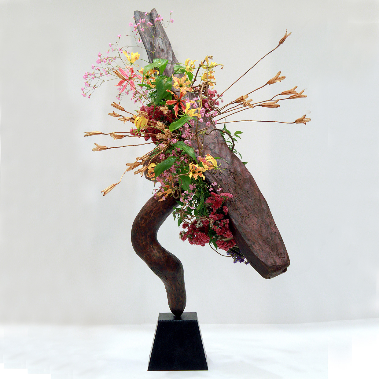 コース画像100680